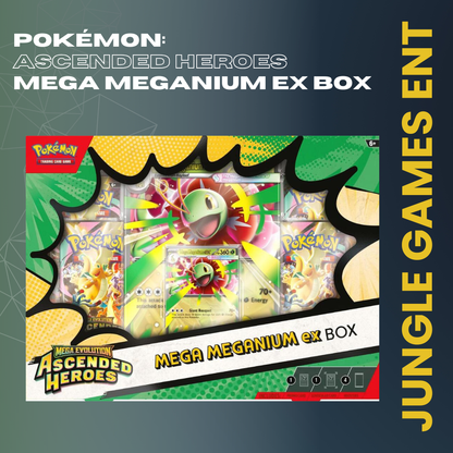 Ascended Heroes Mega Meganium ex Box - ME: Ascended Heroes (ASC)